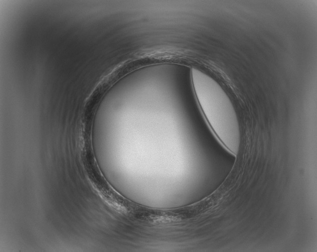 X0000083620400200702120755