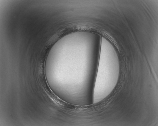 X0000083620401200702120755