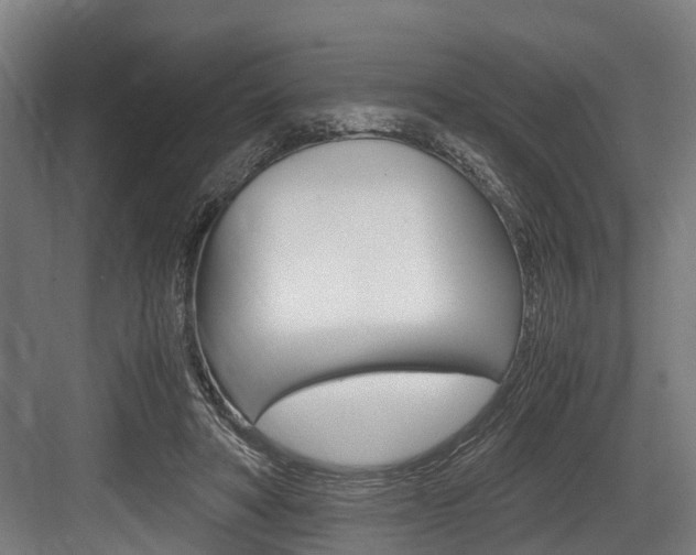 X0000083620402200702120755