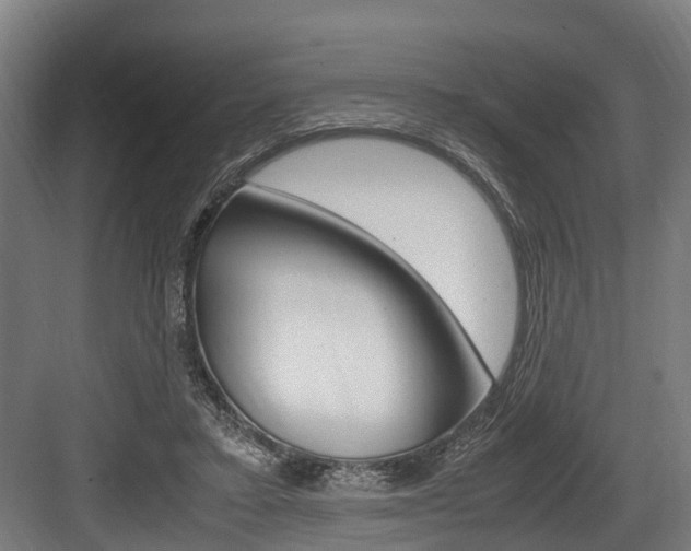 X0000083620403200702120755