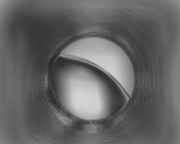 X0000083620404200702120755
