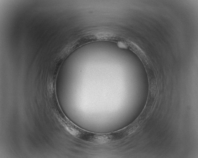 X0000083620405200702120755