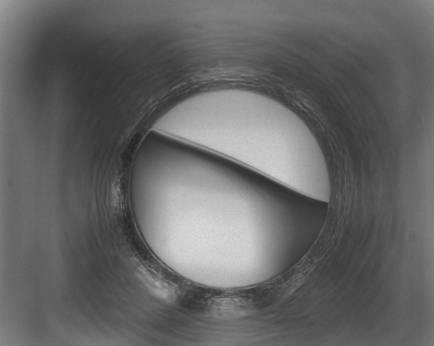 X0000083620408200702120754