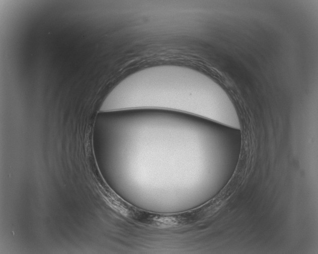 X0000083620409200702120754