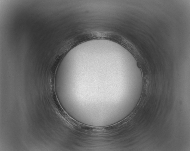 X0000083620410200702120754