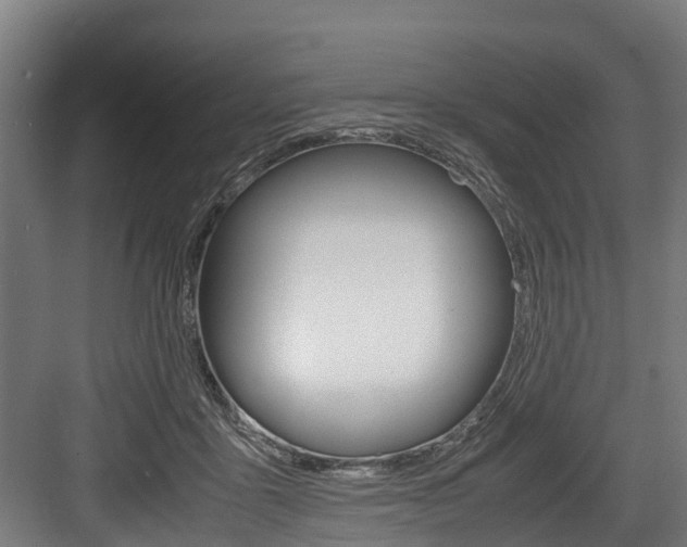 X0000083620411200702120754