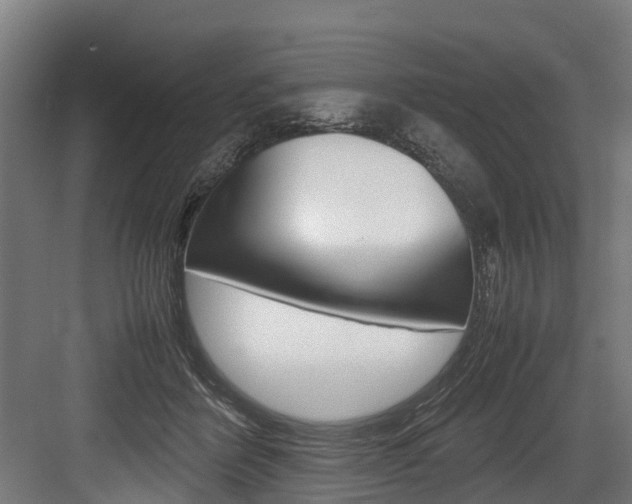 X0000083620412200702120754
