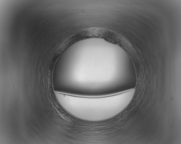 X0000083620413200702120754