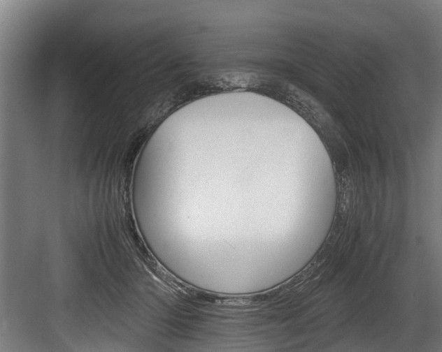 X0000083620414200702120754