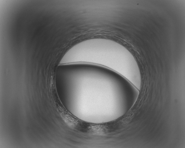 X0000083620417200702120754