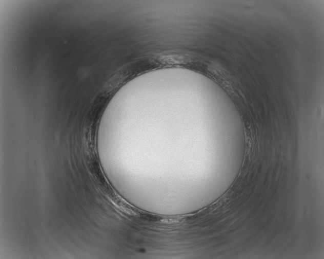 X0000083620418200702120754