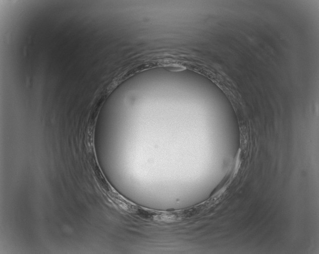 X0000083620419200702120754