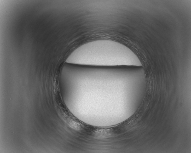 X0000083620422200702120754