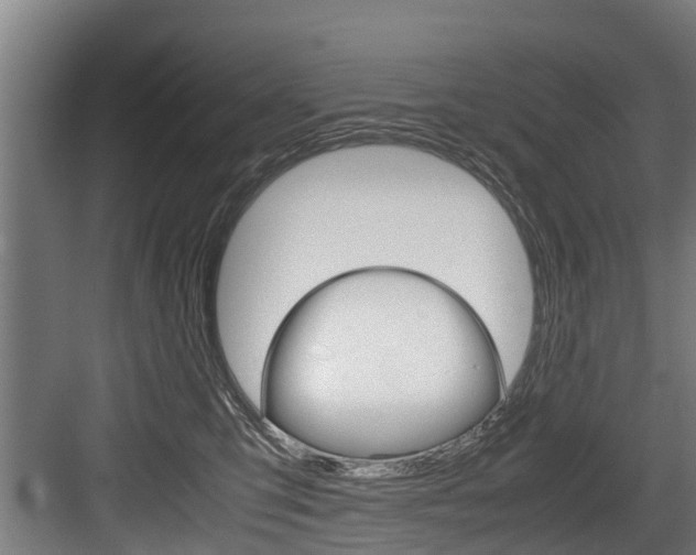 X0000083620423200702120754