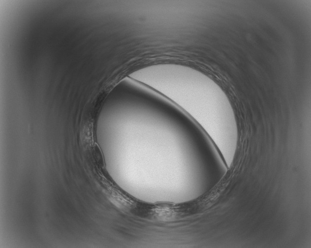 X0000083620425200702120754