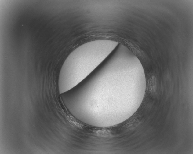 X0000083620426200702120754