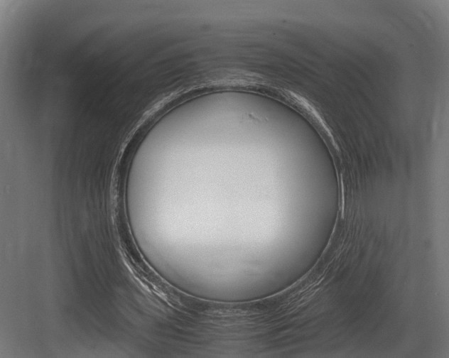 X0000083620435200702120753