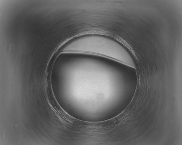 X0000083620436200702120753