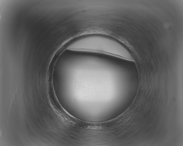 X0000083620440200702120753