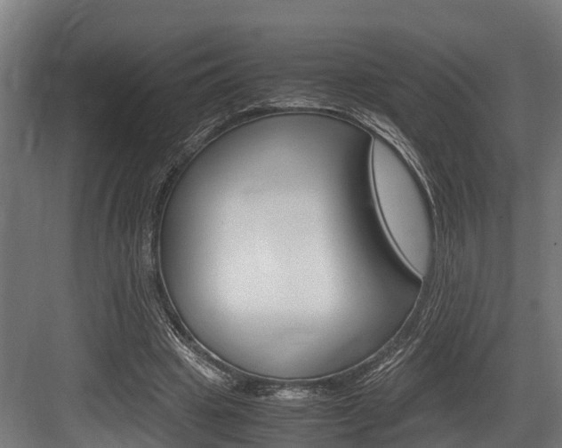 X0000083620441200702120753