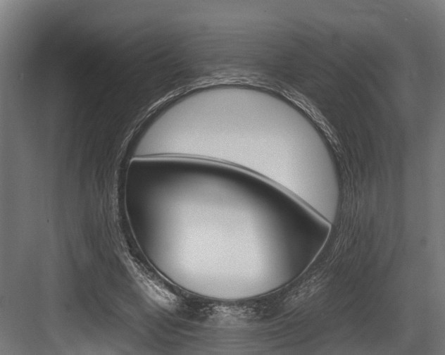 X0000083620442200702120753