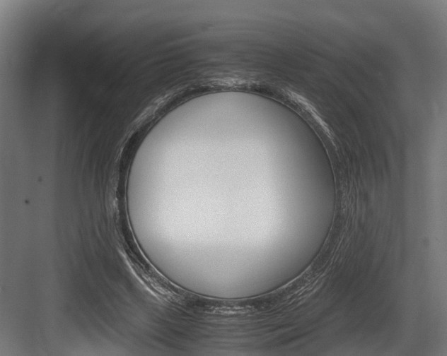 X0000083620443200702120753