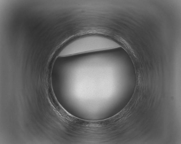 X0000083620444200702120753