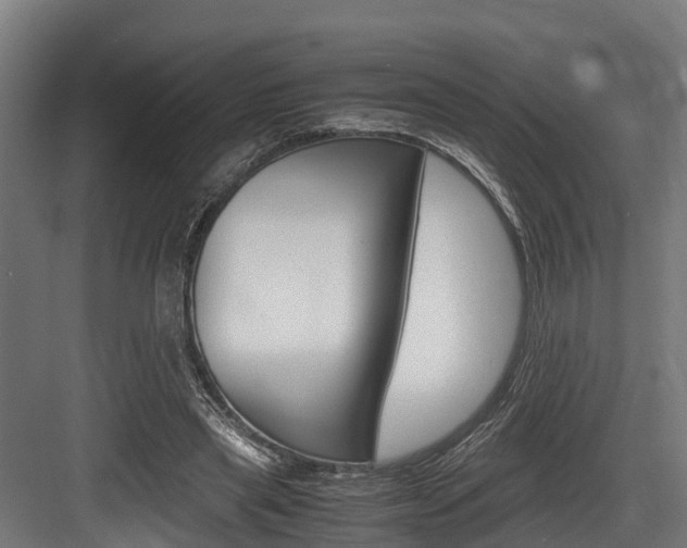 X0000083620445200702120753