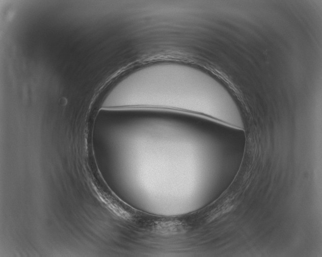 X0000083620446200702120753