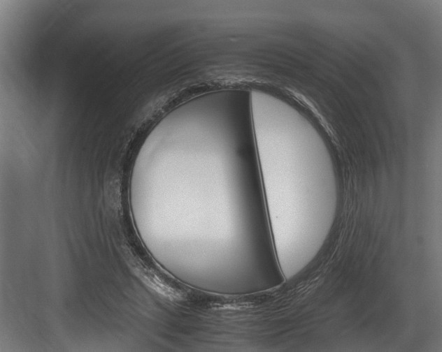 X0000083620447200702120753