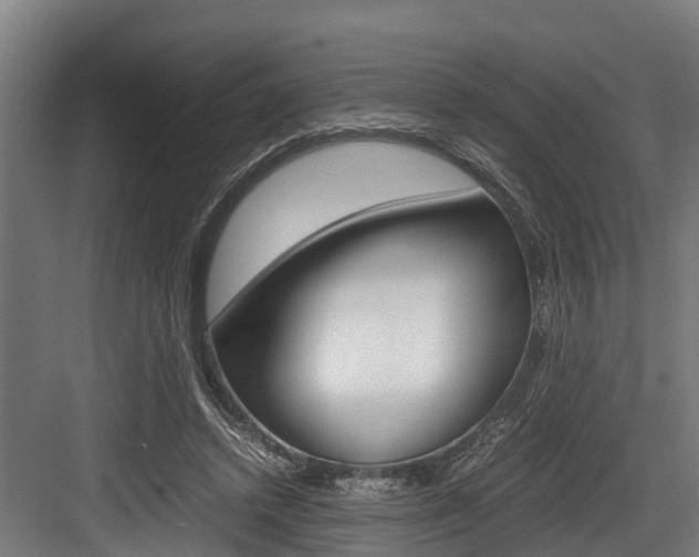 X0000083620448200702120754