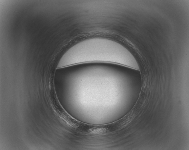 X0000083620452200702120754