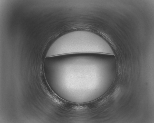 X0000083620453200702120754