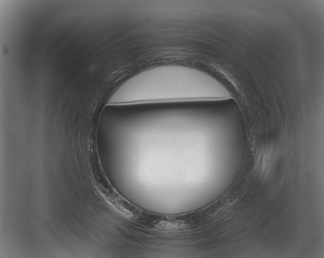 X0000083620455200702120754