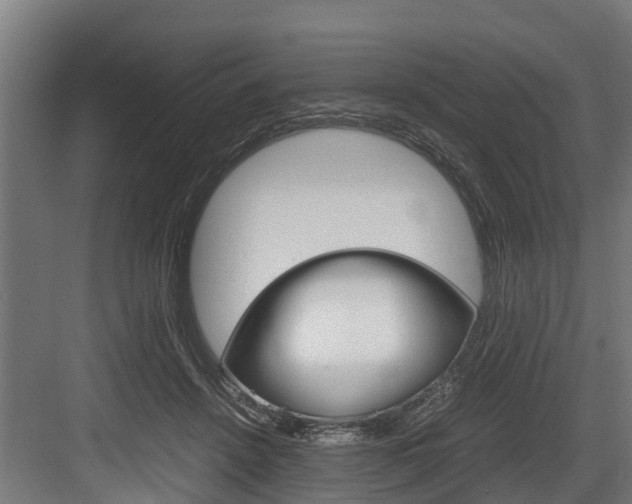 X0000083620456200702120754