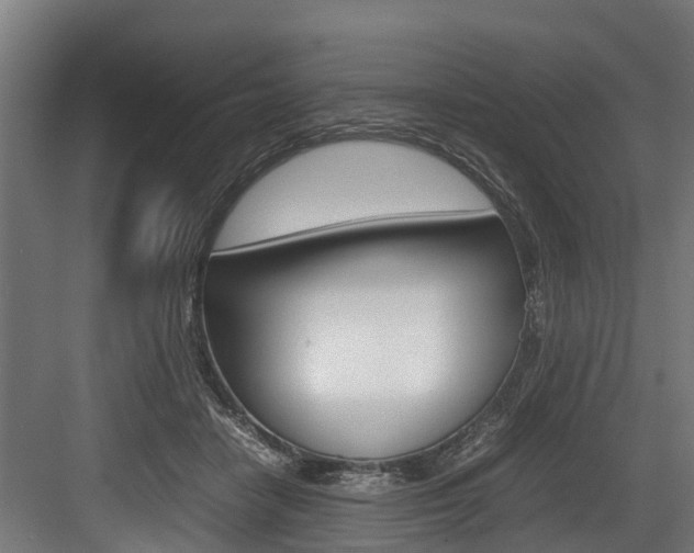 X0000083620458200702120754
