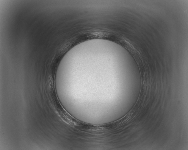 X0000083620459200702120754