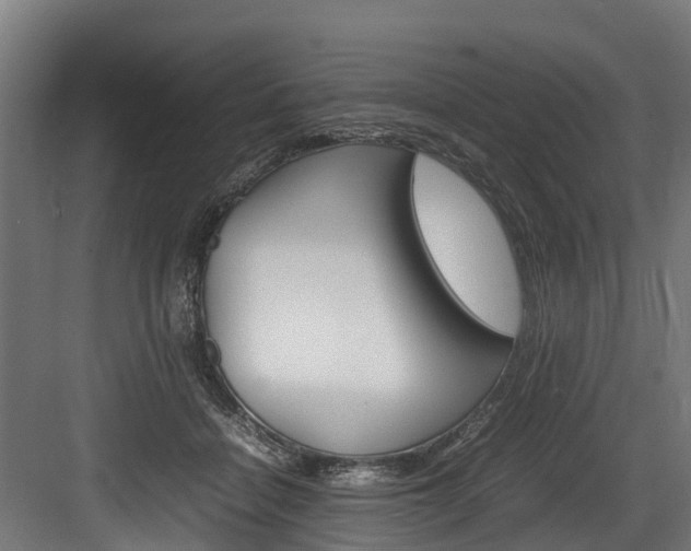 X0000083620460200702120754