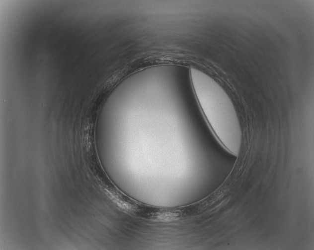 X0000083620462200702120754