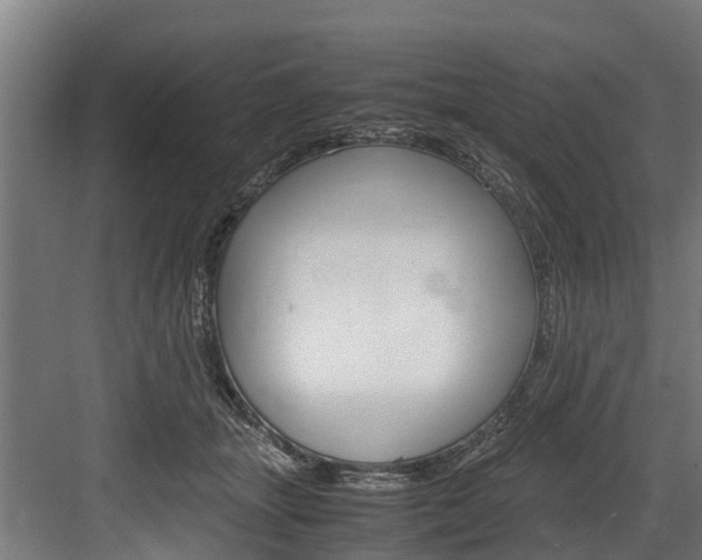 X0000083620463200702120754