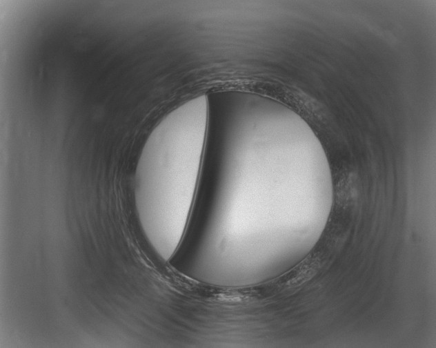 X0000083620464200702120754