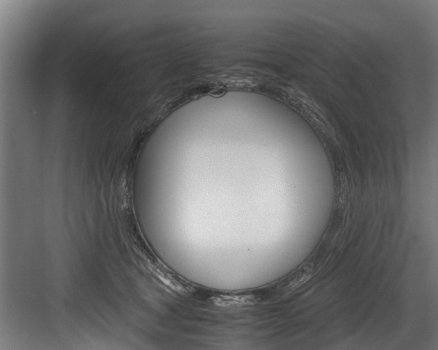 X0000083620465200702120754
