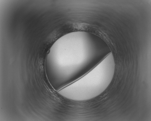 X0000083620466200702120754