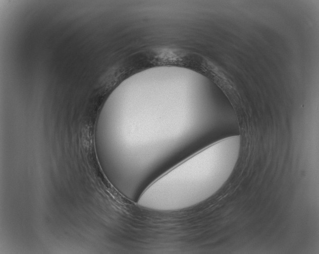 X0000083620467200702120754