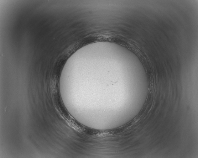 X0000083620468200702120754