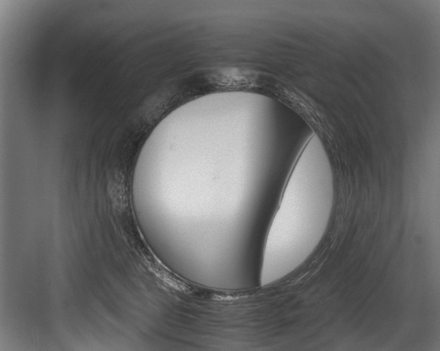 X0000083620469200702120754
