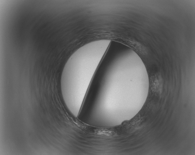 X0000083620471200702120754