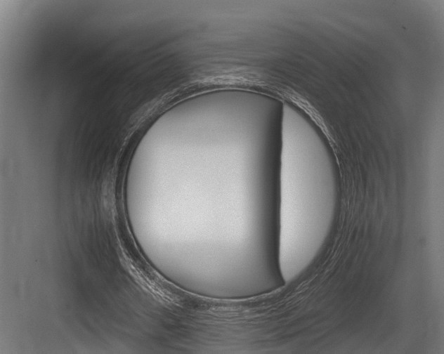 X0000083620482200702120753