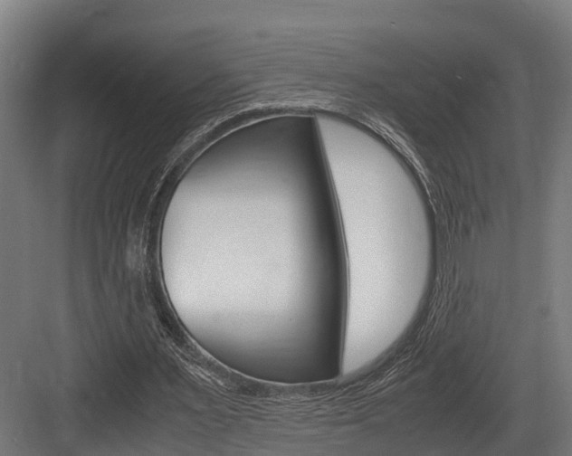 X0000083620483200702120753