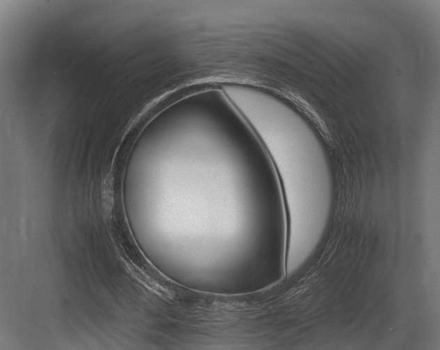 X0000083620484200702120753